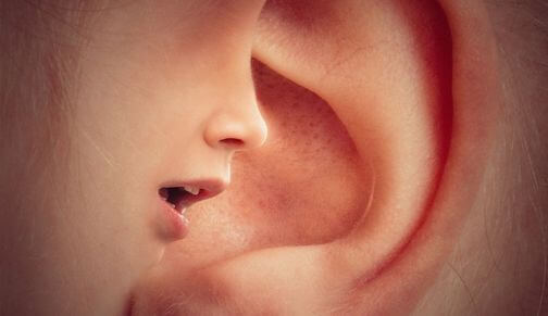 Bouche à oreille