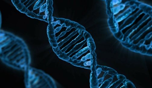 Développer son niveau de résilience
