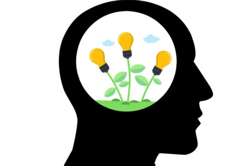 Illustration du Mindset qui se développe