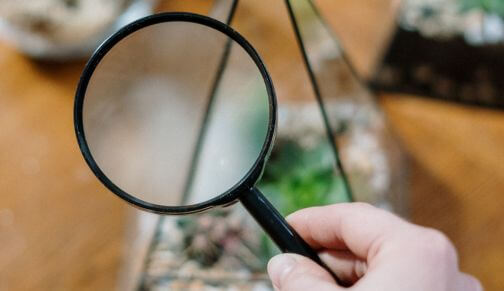Zoom sur la formation client