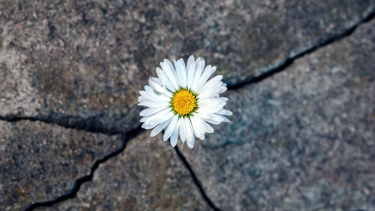 résilience